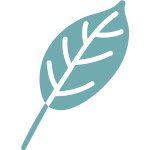 cropped-leaf-logo-teal_quadratisch_150x150